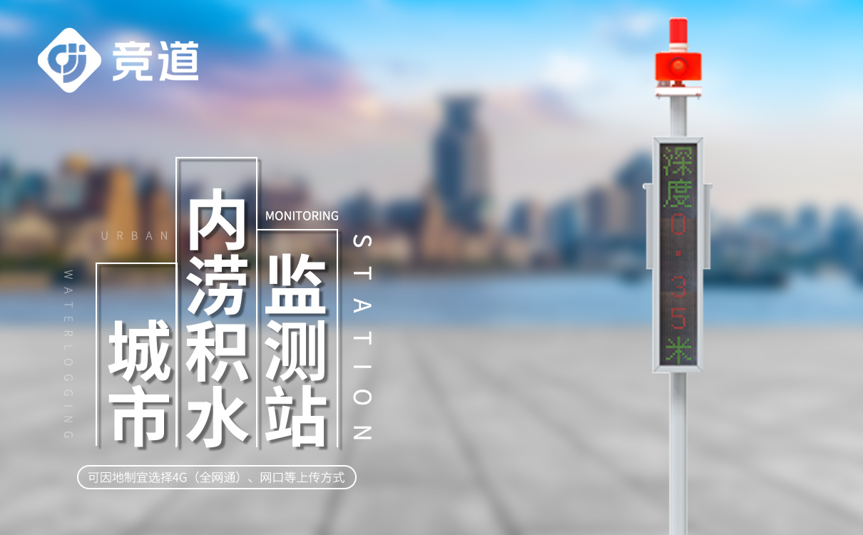 1704446561193744.jpg 5.jpg